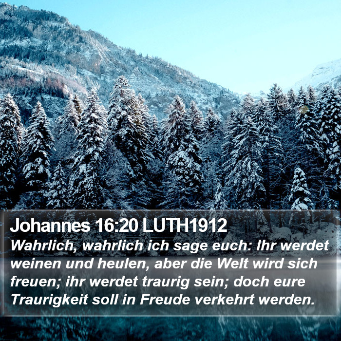 Johannes 16:20 LUTH1912 Bible Study