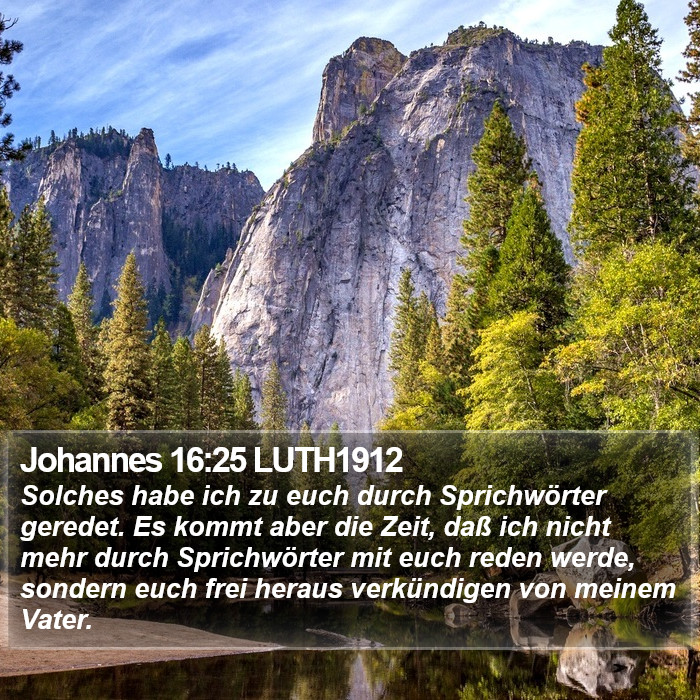 Johannes 16:25 LUTH1912 Bible Study