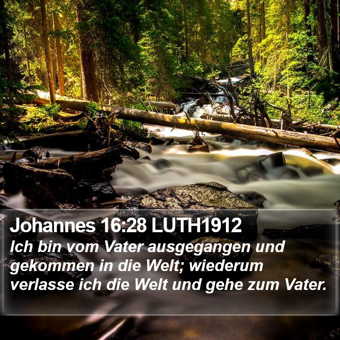 Johannes 16:28 LUTH1912 Bible Study