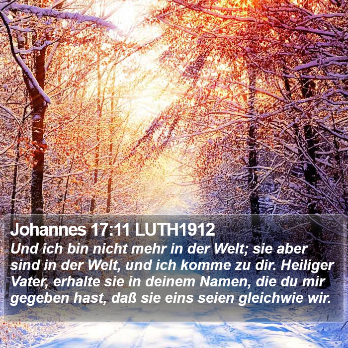 Johannes 17:11 LUTH1912 Bible Study