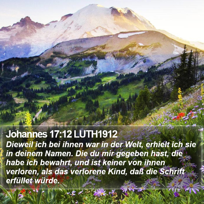 Johannes 17:12 LUTH1912 Bible Study