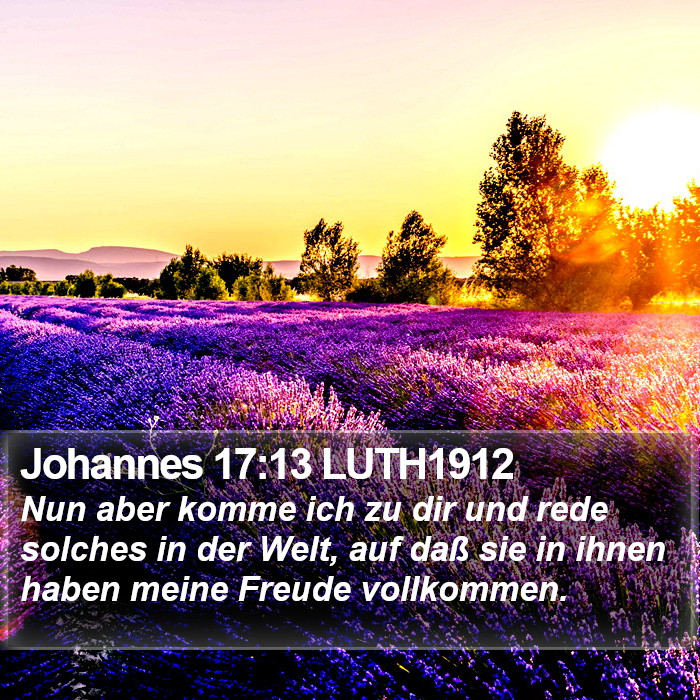 Johannes 17:13 LUTH1912 Bible Study