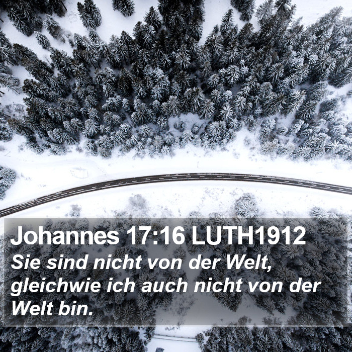 Johannes 17:16 LUTH1912 Bible Study