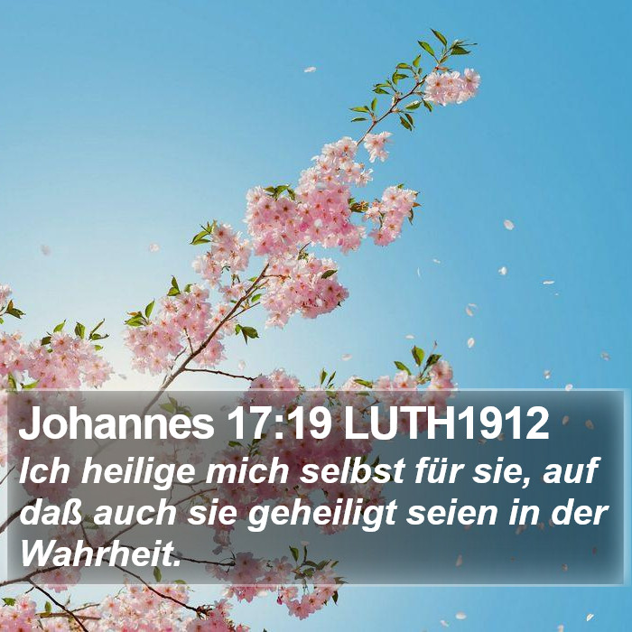 Johannes 17:19 LUTH1912 Bible Study