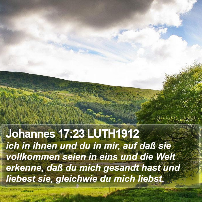 Johannes 17:23 LUTH1912 Bible Study