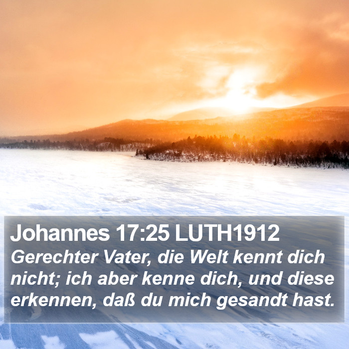 Johannes 17:25 LUTH1912 Bible Study