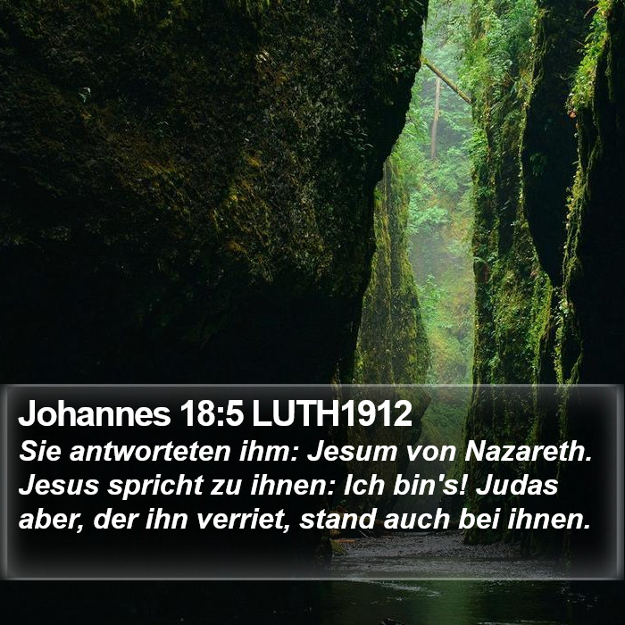 Johannes 18:5 LUTH1912 Bible Study