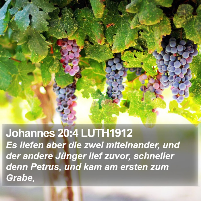 Johannes 20:4 LUTH1912 Bible Study