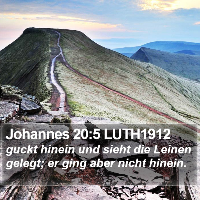 Johannes 20:5 LUTH1912 Bible Study