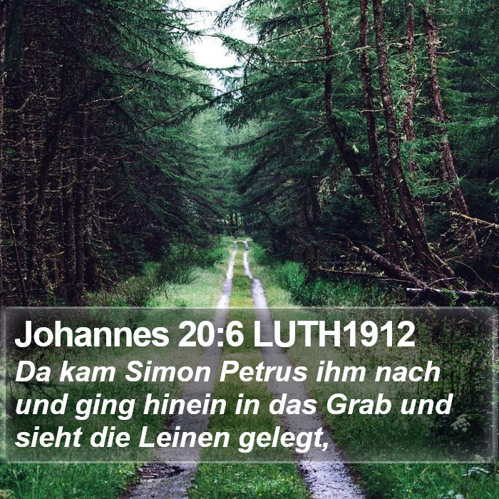 Johannes 20:6 LUTH1912 Bible Study