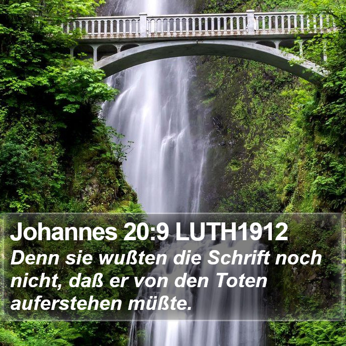 Johannes 20:9 LUTH1912 Bible Study