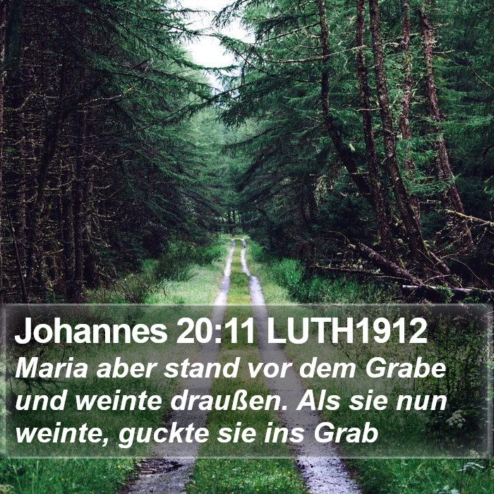 Johannes 20:11 LUTH1912 Bible Study