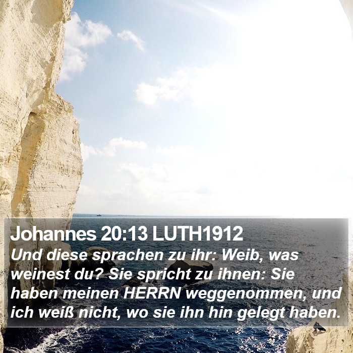 Johannes 20:13 LUTH1912 Bible Study