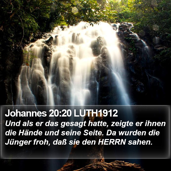 Johannes 20:20 LUTH1912 Bible Study