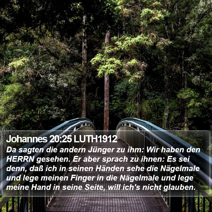 Johannes 20:25 LUTH1912 Bible Study