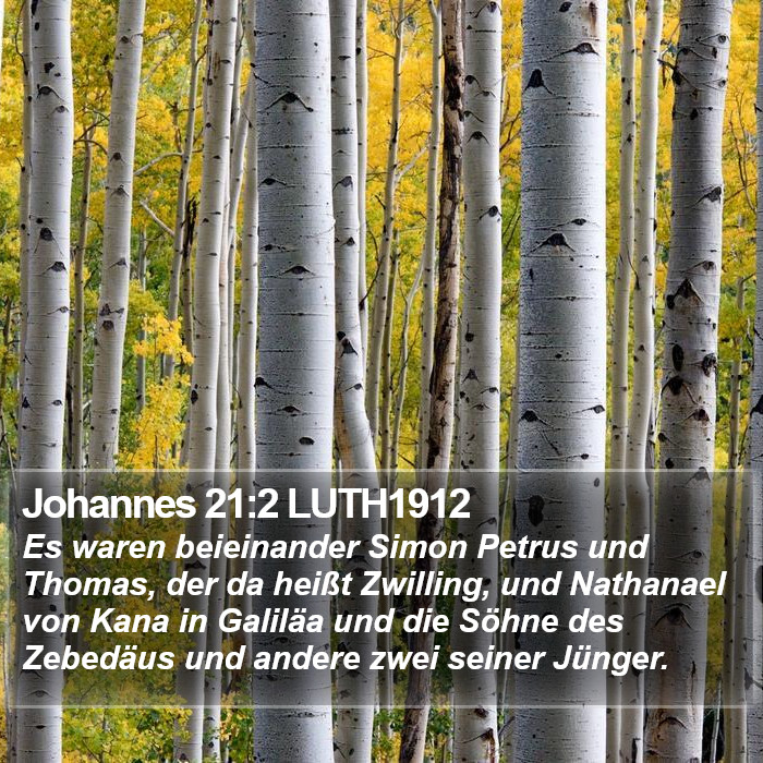 Johannes 21:2 LUTH1912 Bible Study