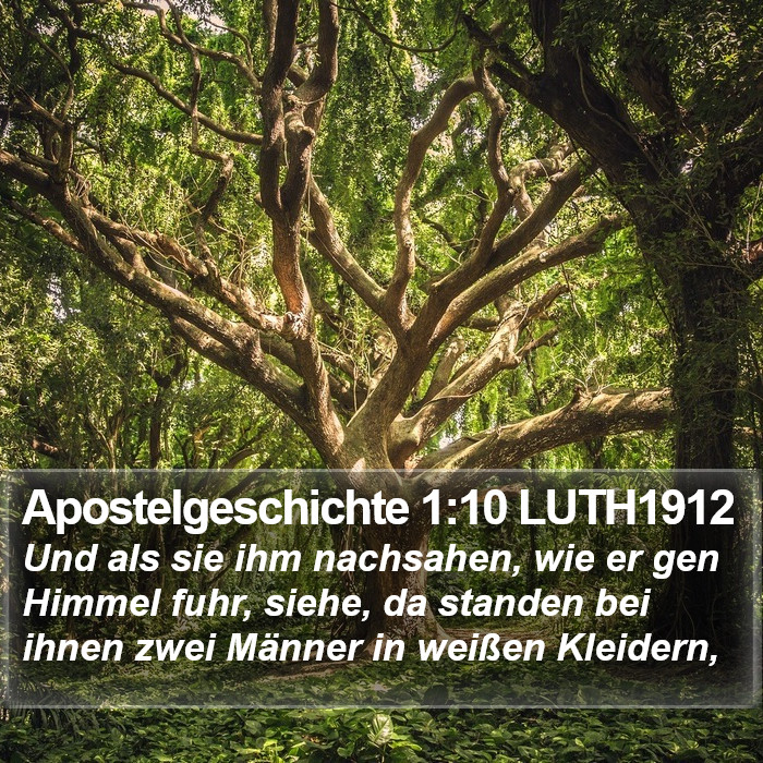 Apostelgeschichte 1:10 LUTH1912 Bible Study