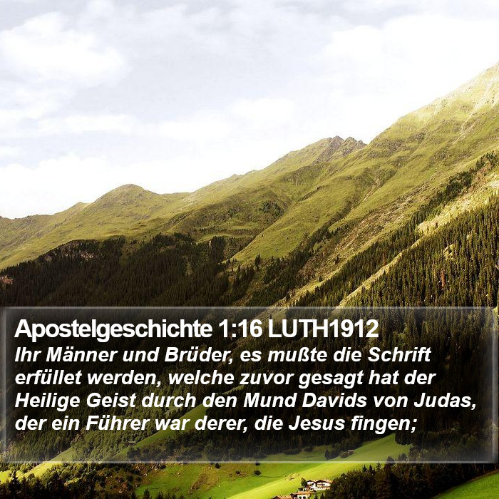 Apostelgeschichte 1:16 LUTH1912 Bible Study