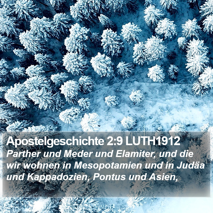 Apostelgeschichte 2:9 LUTH1912 Bible Study