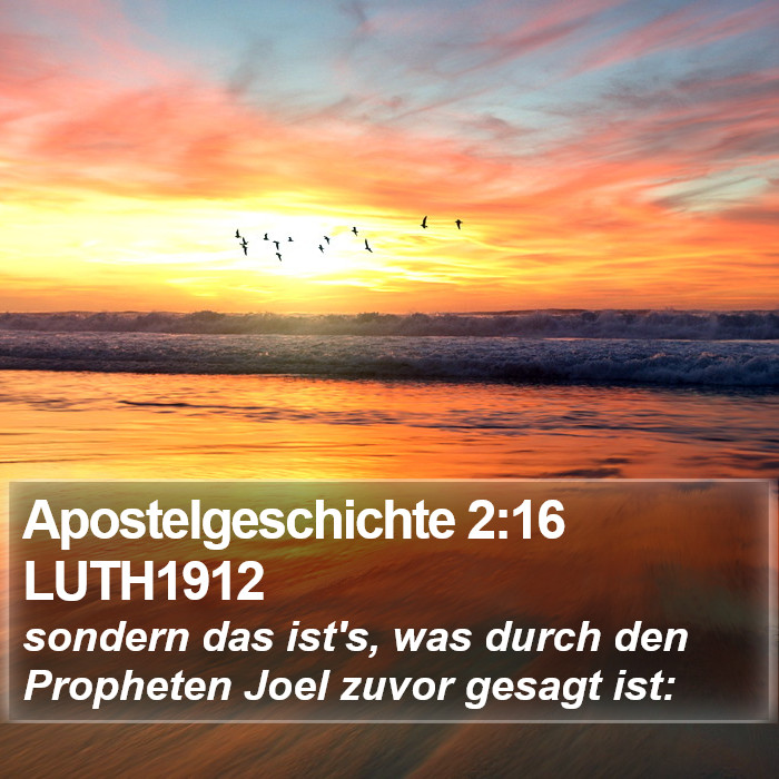Apostelgeschichte 2:16 LUTH1912 Bible Study