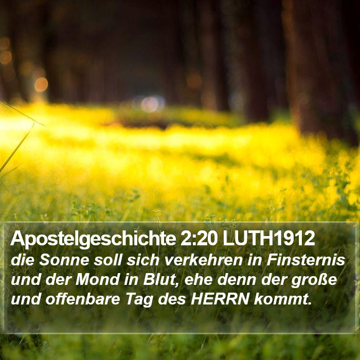Apostelgeschichte 2:20 LUTH1912 Bible Study