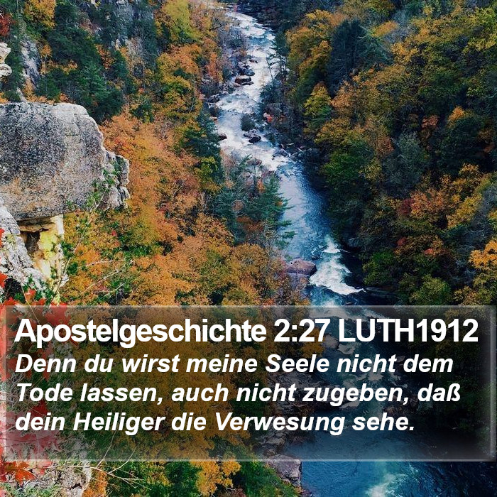 Apostelgeschichte 2:27 LUTH1912 Bible Study