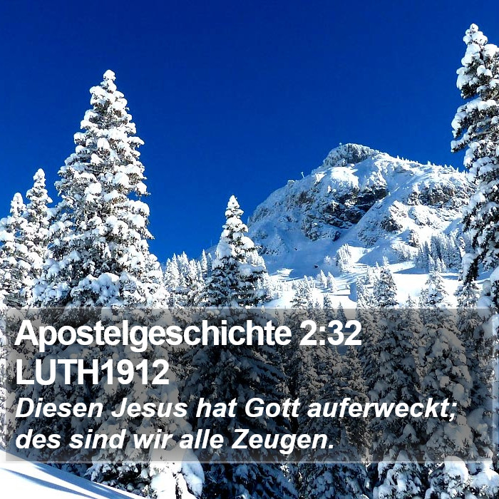 Apostelgeschichte 2:32 LUTH1912 Bible Study