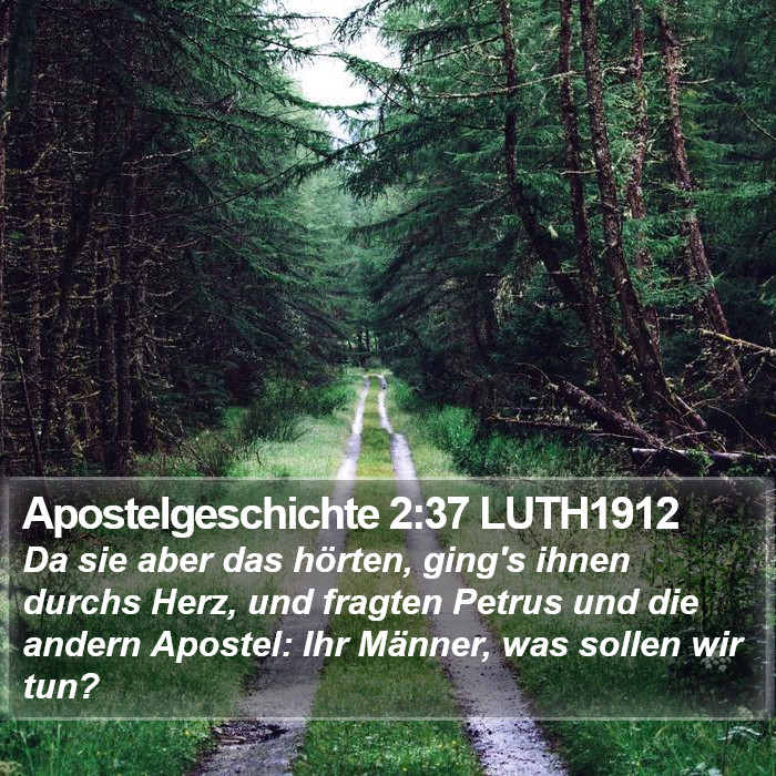 Apostelgeschichte 2:37 LUTH1912 Bible Study