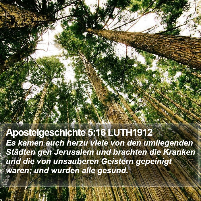 Apostelgeschichte 5:16 LUTH1912 Bible Study