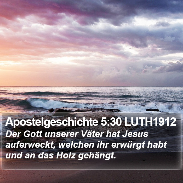 Apostelgeschichte 5:30 LUTH1912 Bible Study