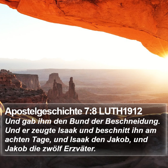 Apostelgeschichte 7:8 LUTH1912 Bible Study