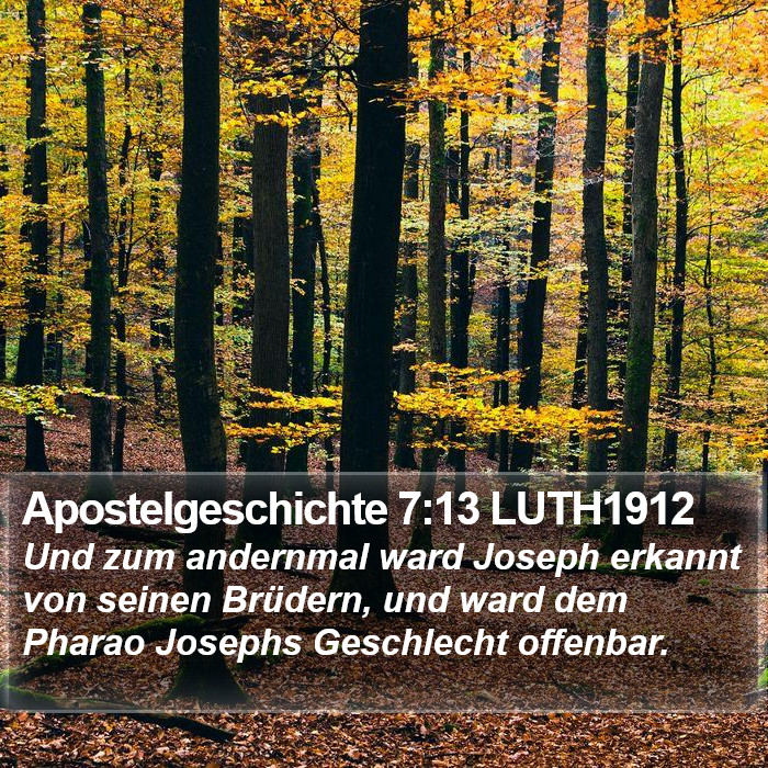 Apostelgeschichte 7:13 LUTH1912 Bible Study
