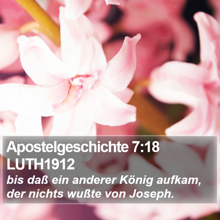 Apostelgeschichte 7:18 LUTH1912 Bible Study