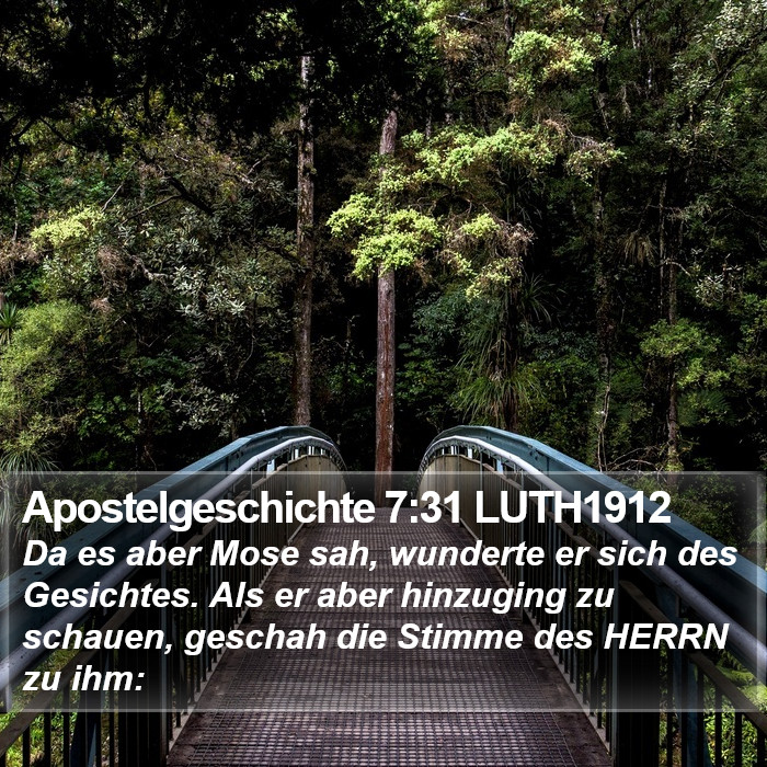 Apostelgeschichte 7:31 LUTH1912 Bible Study