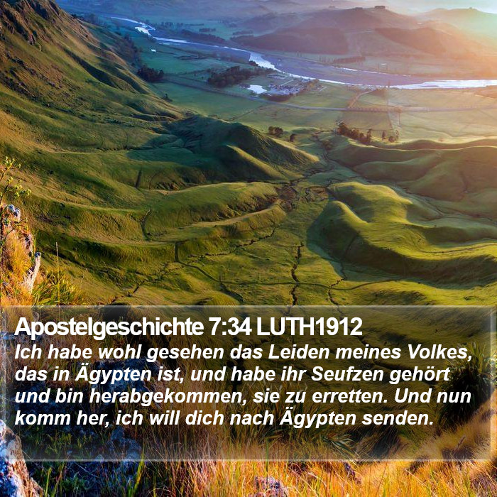 Apostelgeschichte 7:34 LUTH1912 Bible Study