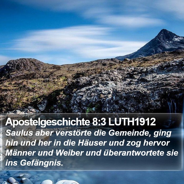 Apostelgeschichte 8:3 LUTH1912 Bible Study
