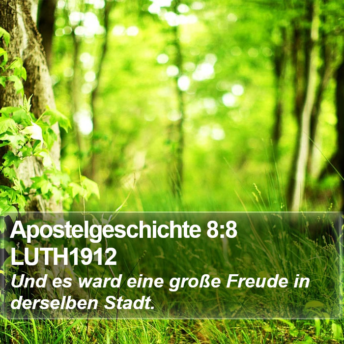 Apostelgeschichte 8:8 LUTH1912 Bible Study