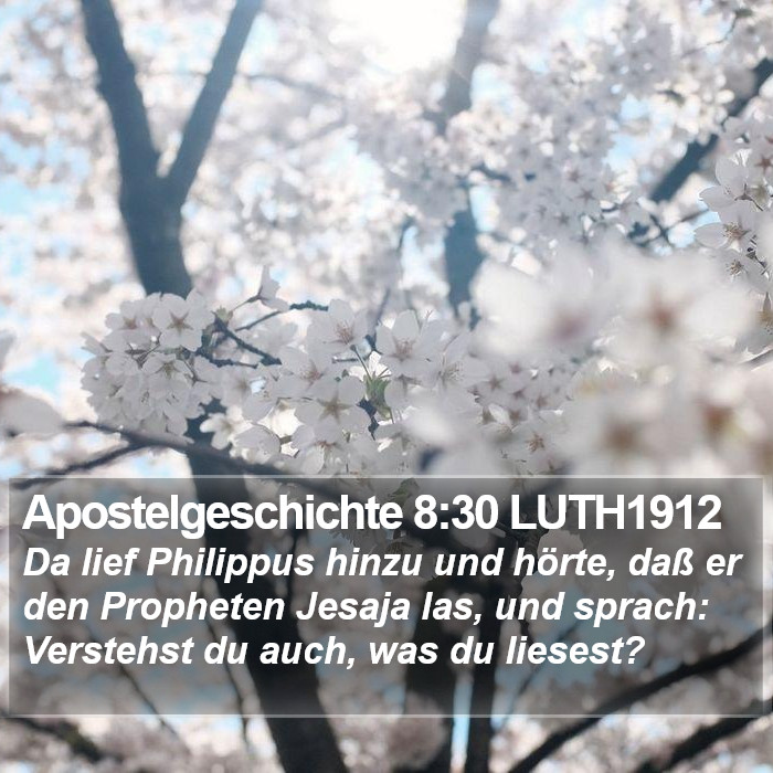 Apostelgeschichte 8:30 LUTH1912 Bible Study