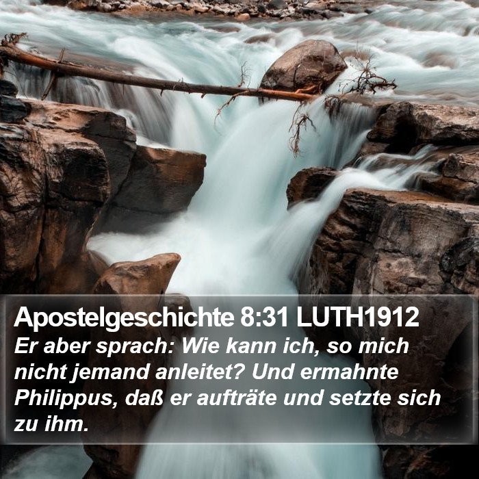 Apostelgeschichte 8:31 LUTH1912 Bible Study
