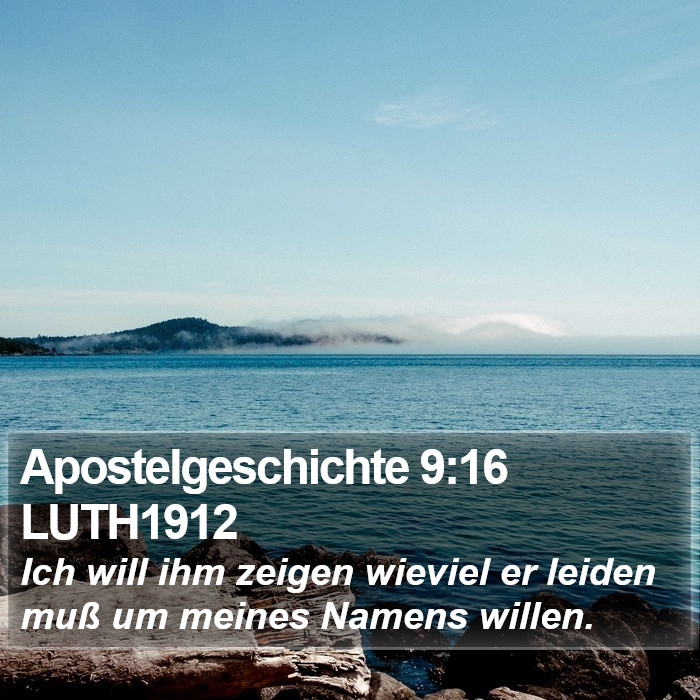 Apostelgeschichte 9:16 LUTH1912 Bible Study