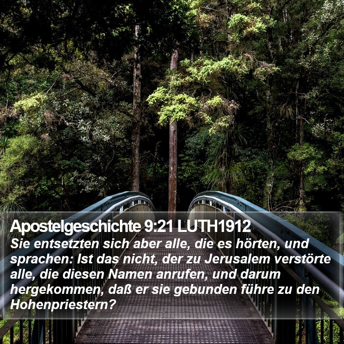 Apostelgeschichte 9:21 LUTH1912 Bible Study