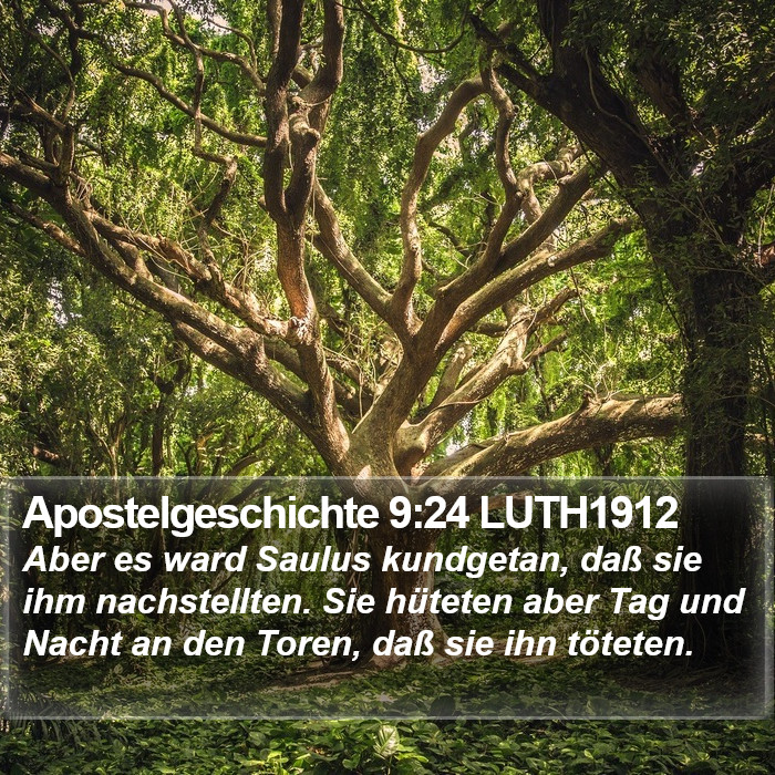 Apostelgeschichte 9:24 LUTH1912 Bible Study