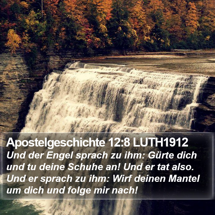 Apostelgeschichte 12:8 LUTH1912 Bible Study