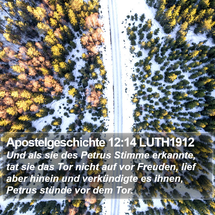 Apostelgeschichte 12:14 LUTH1912 Bible Study