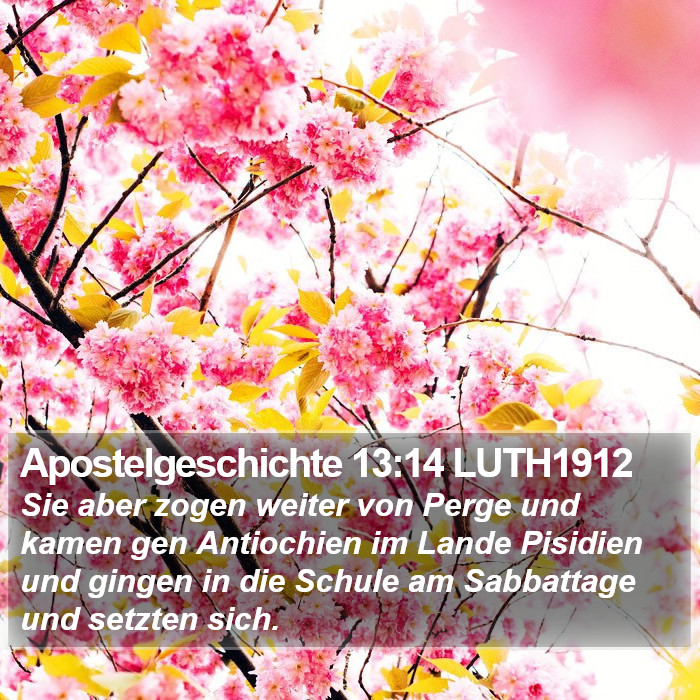 Apostelgeschichte 13:14 LUTH1912 Bible Study