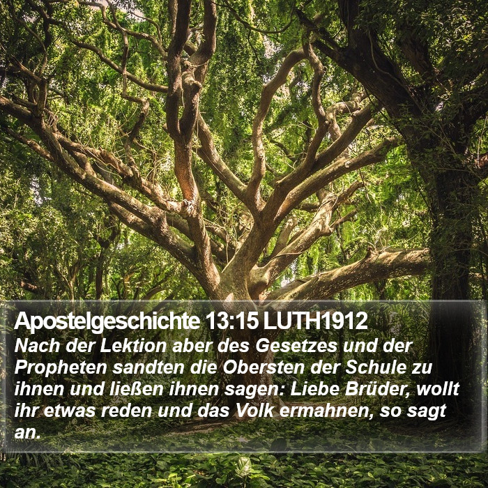 Apostelgeschichte 13:15 LUTH1912 Bible Study