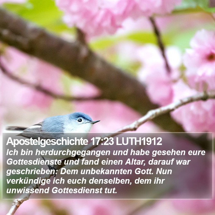 Apostelgeschichte 17:23 LUTH1912 Bible Study