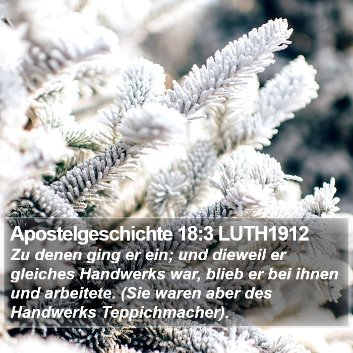 Apostelgeschichte 18:3 LUTH1912 Bible Study