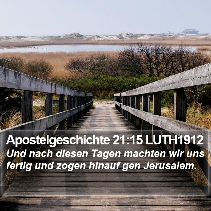 Apostelgeschichte 21:15 LUTH1912 Bible Study