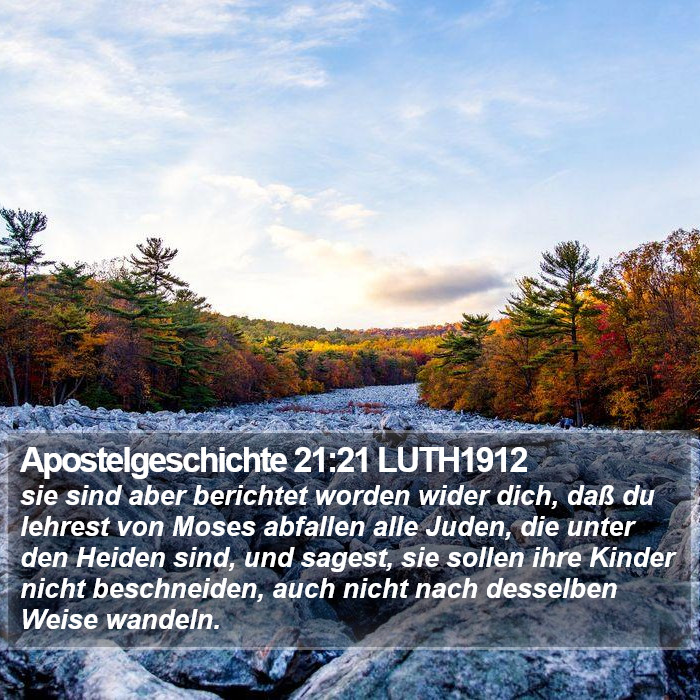 Apostelgeschichte 21:21 LUTH1912 Bible Study